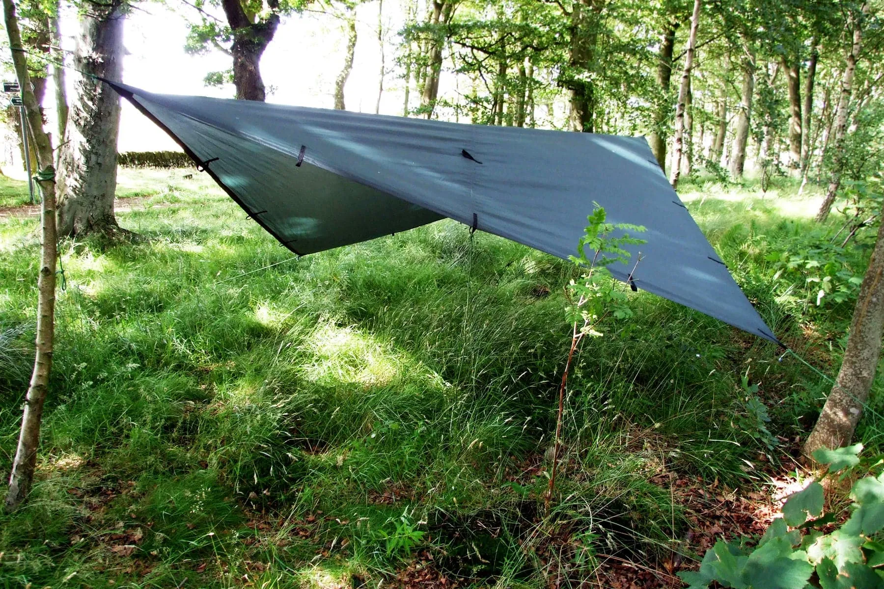 DD Tarp 3x3 - Green