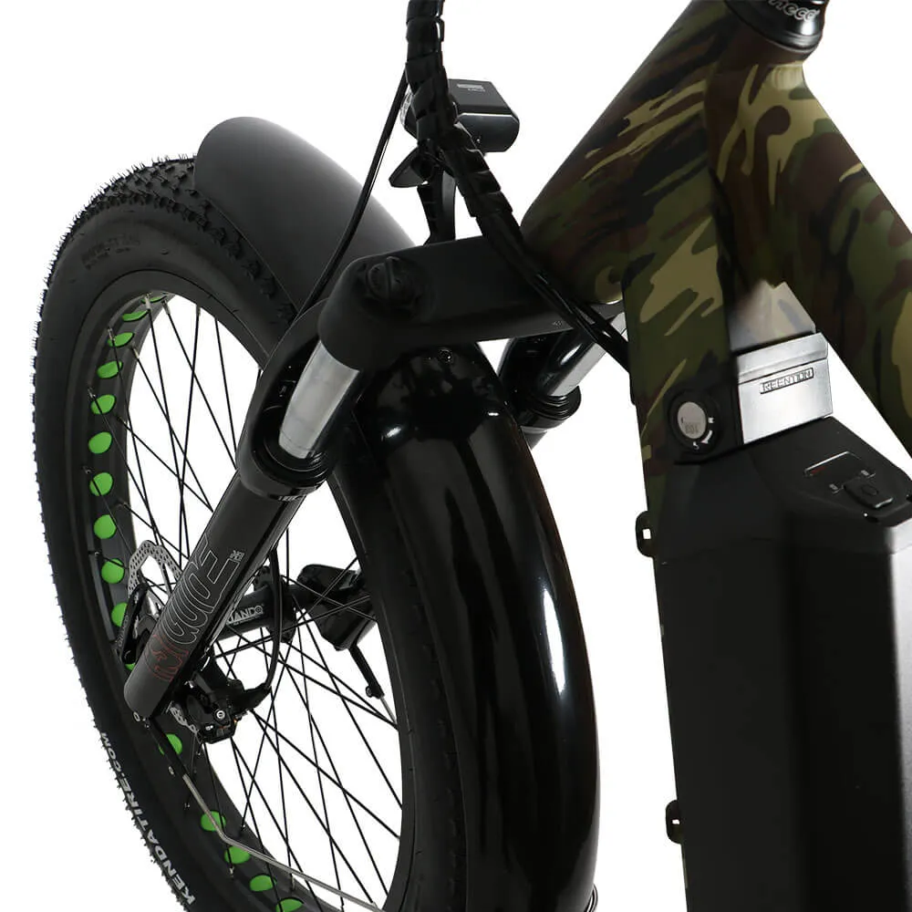 EUNORAU FAT-HD 1000W 48V Fat Tire Mountain Electric Bike