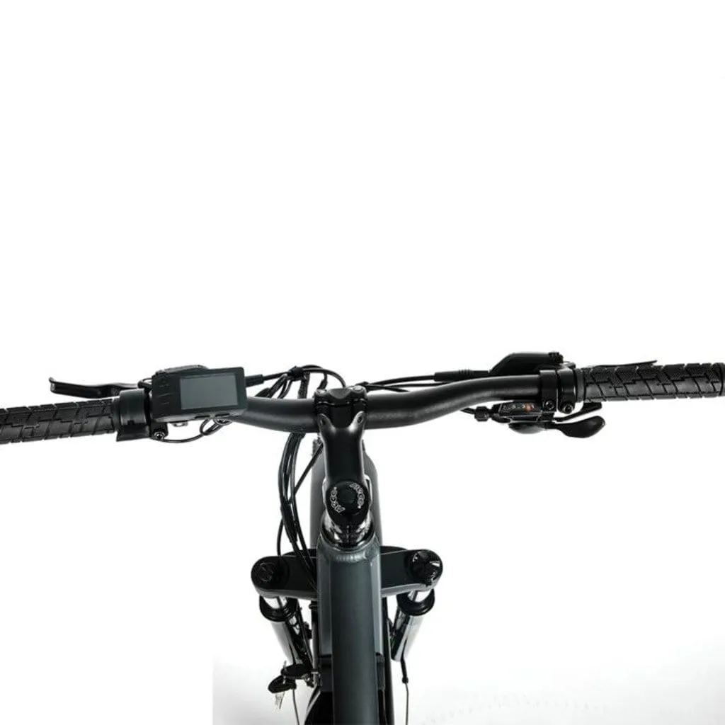 EUNORAU FAT-HD 1000W 48V Fat Tire Mountain Electric Bike