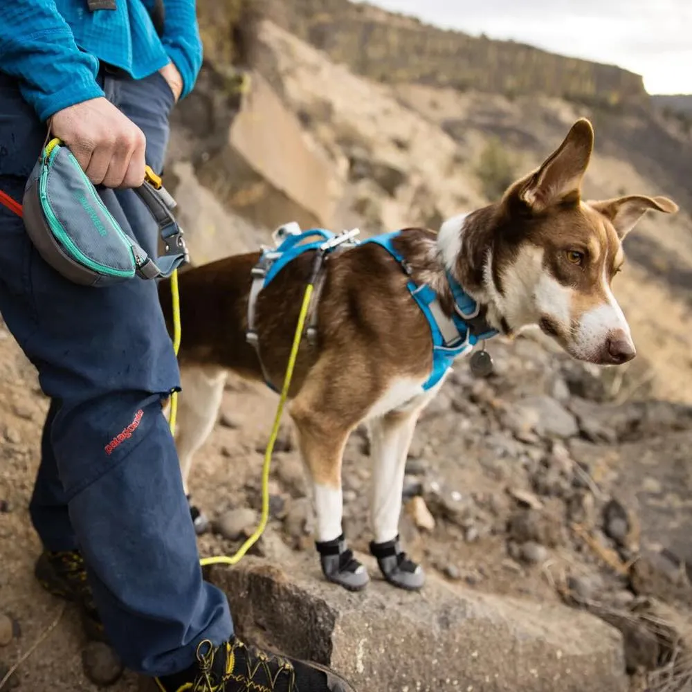 Ruffwear Hitch Hiker Portable Hitch & Dog Leash Pack (Slate Blue)